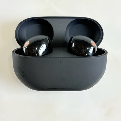 SONY ソニー WF-1000XM5 ブラック ワイヤレスイヤホン カナル型 ノイズキャンセリング Bluetooth Type-C 動作品